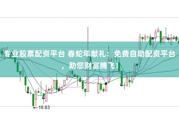 专业股票配资平台 春蛇年献礼：免费自助配资平台，助您财富腾飞！