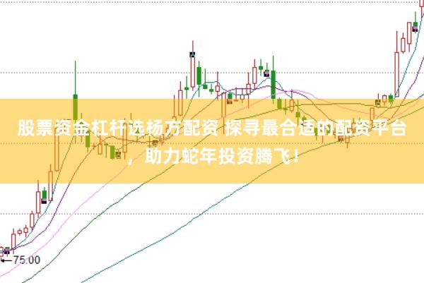 股票资金杠杆选杨方配资 探寻最合适的配资平台，助力蛇年投资腾飞！