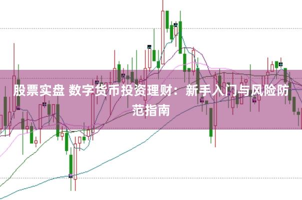股票实盘 数字货币投资理财：新手入门与风险防范指南