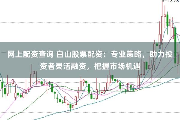网上配资查询 白山股票配资：专业策略，助力投资者灵活融资，把握市场机遇