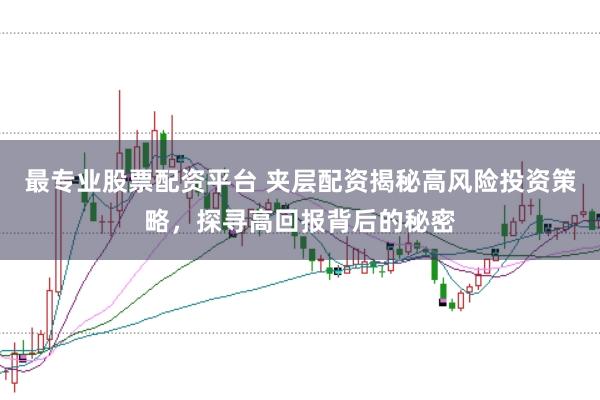 最专业股票配资平台 夹层配资揭秘高风险投资策略，探寻高回报背后的秘密