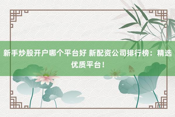 新手炒股开户哪个平台好 新配资公司排行榜：精选优质平台！