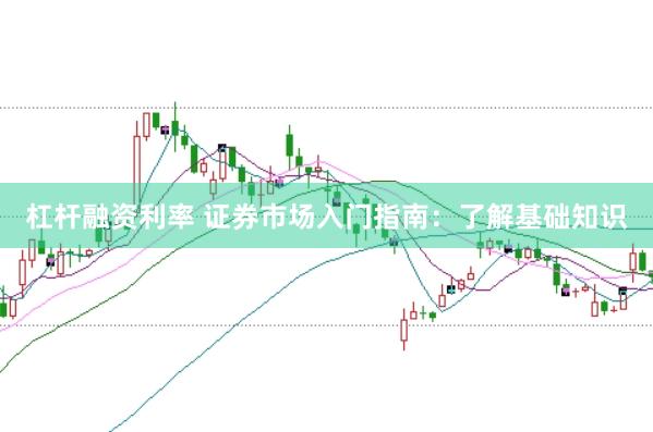 杠杆融资利率 证券市场入门指南：了解基础知识