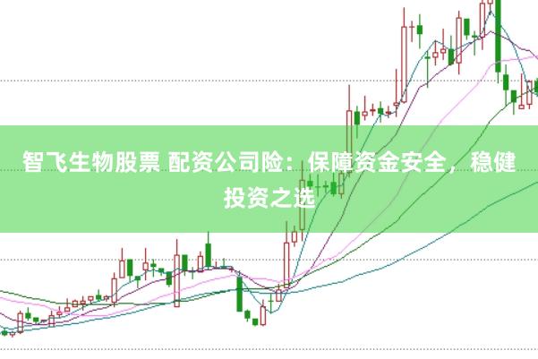 智飞生物股票 配资公司险：保障资金安全，稳健投资之选