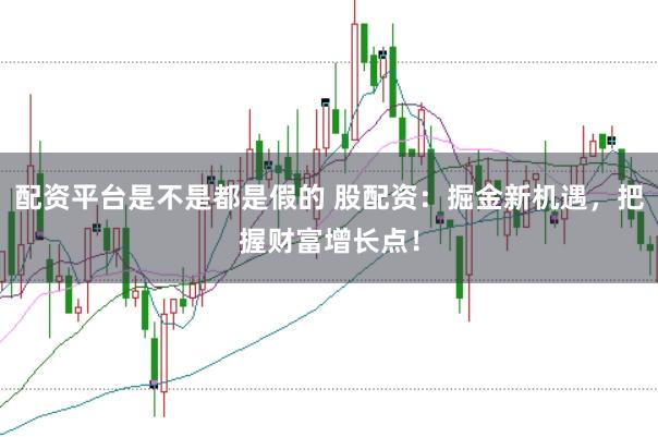 配资平台是不是都是假的 股配资：掘金新机遇，把握财富增长点！