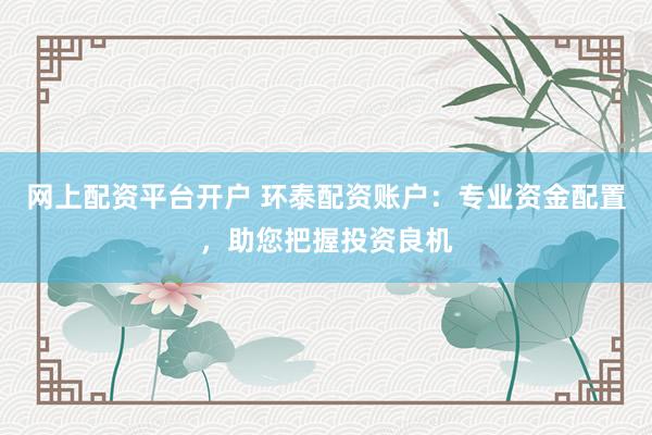 网上配资平台开户 环泰配资账户：专业资金配置，助您把握投资良机