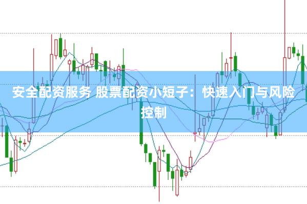 安全配资服务 股票配资小短子：快速入门与风险控制