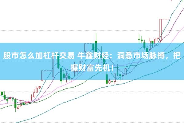 股市怎么加杠杆交易 牛鑫财经:洞悉市场脉搏,把握财富先机!