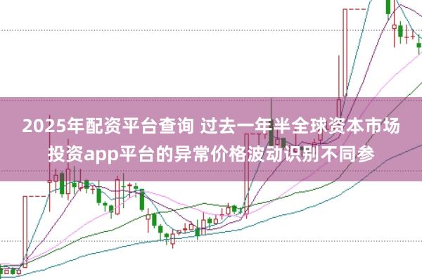 2025年配资平台查询 过去一年半全球资本市场投资app平台的异常价格波动识别不同参