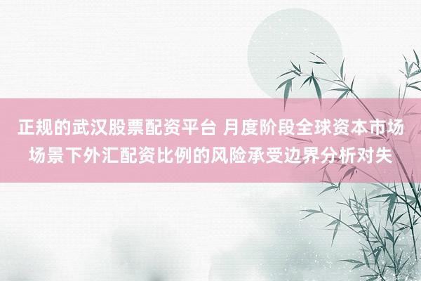 正规的武汉股票配资平台 月度阶段全球资本市场场景下外汇配资比例的风险承受边界分析对失