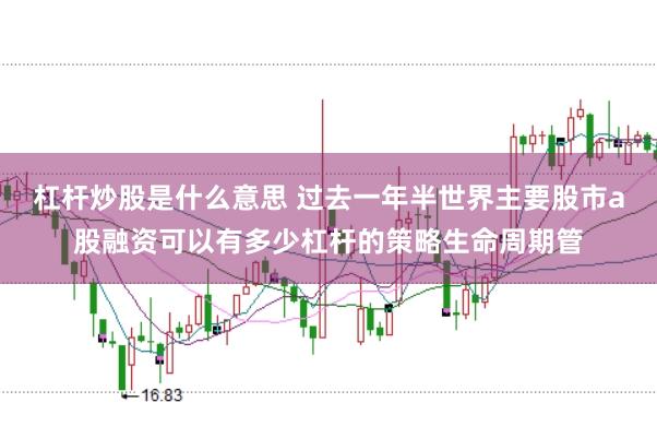 杠杆炒股是什么意思 过去一年半世界主要股市a股融资可以有多少杠杆的策略生命周期管