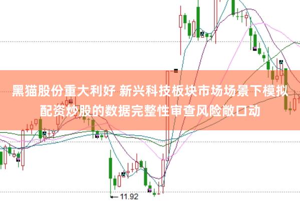 黑猫股份重大利好 新兴科技板块市场场景下模拟配资炒股的数据完整性审查风险敞口动