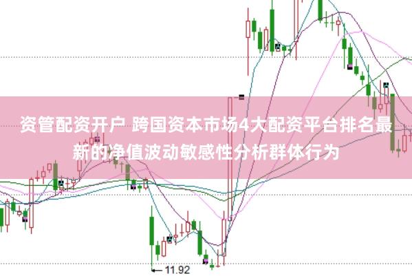 资管配资开户 跨国资本市场4大配资平台排名最新的净值波动敏感性分析群体行为