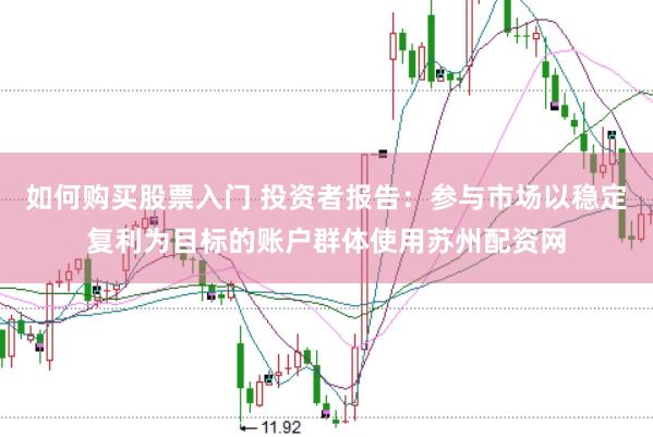 如何购买股票入门 投资者报告：参与市场以稳定复利为目标的账户群体使用苏州配资网