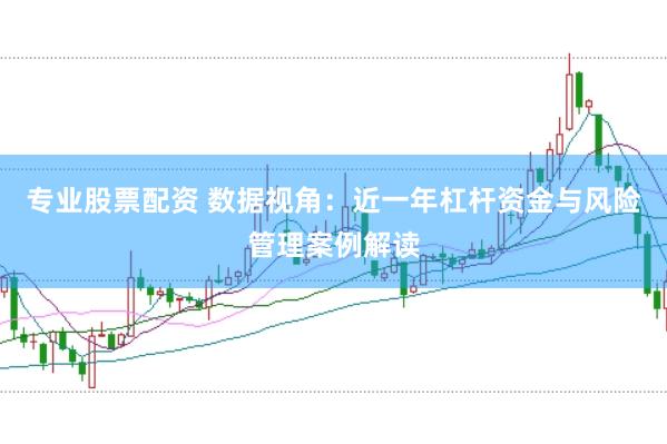 专业股票配资 数据视角:近一年杠杆资金与风险管理案例解读