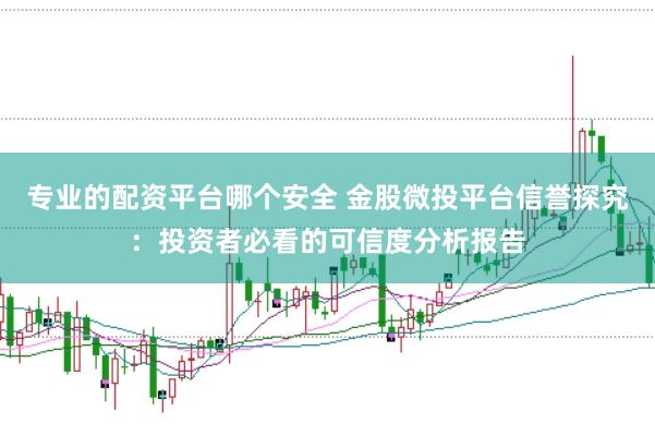 专业的配资平台哪个安全 金股微投平台信誉探究:投资者必看的可信度分析报告