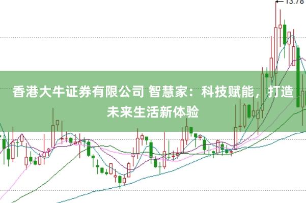 香港大牛证券有限公司 智慧家:科技赋能,打造未来生活新体验