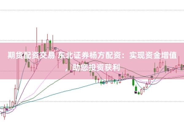 期货配资交易 东北证券杨方配资：实现资金增值，助您投资获利