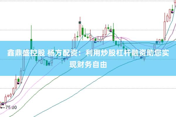 鑫鼎盛控股 杨方配资:利用炒股杠杆融资助您实现财务自由