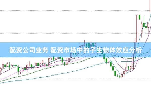 配资公司业务 配资市场中的子生物体效应分析