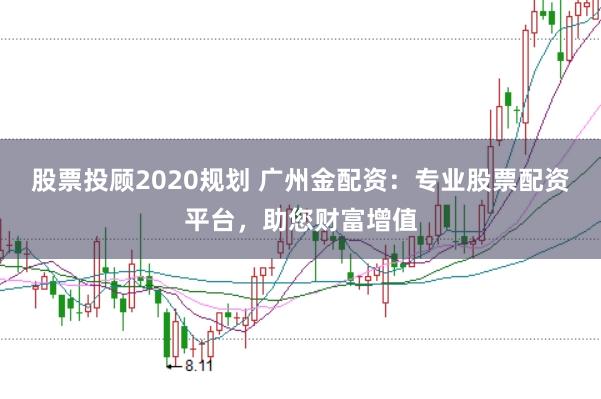 股票投顾2020规划 广州金配资：专业股票配资平台，助您财富增值